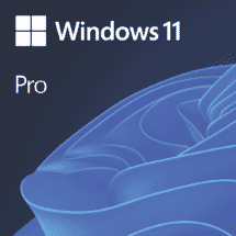 Microsoft Windows 11 Pro ESD