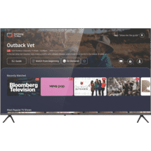 HYUNDAI 65" UHD Tizen QLED Smart TV 2024