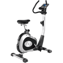 BH Fitness Artic Program Bike