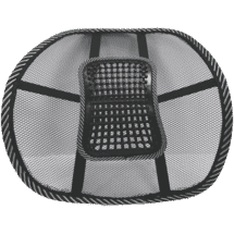 Crest Mesh Lumbar Back Support