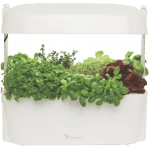 Vegepod Kitchen Garden White