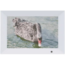Qpix 10" Digital Photo Frame with 32gb
