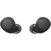 Sony Truly Wireless Earbuds